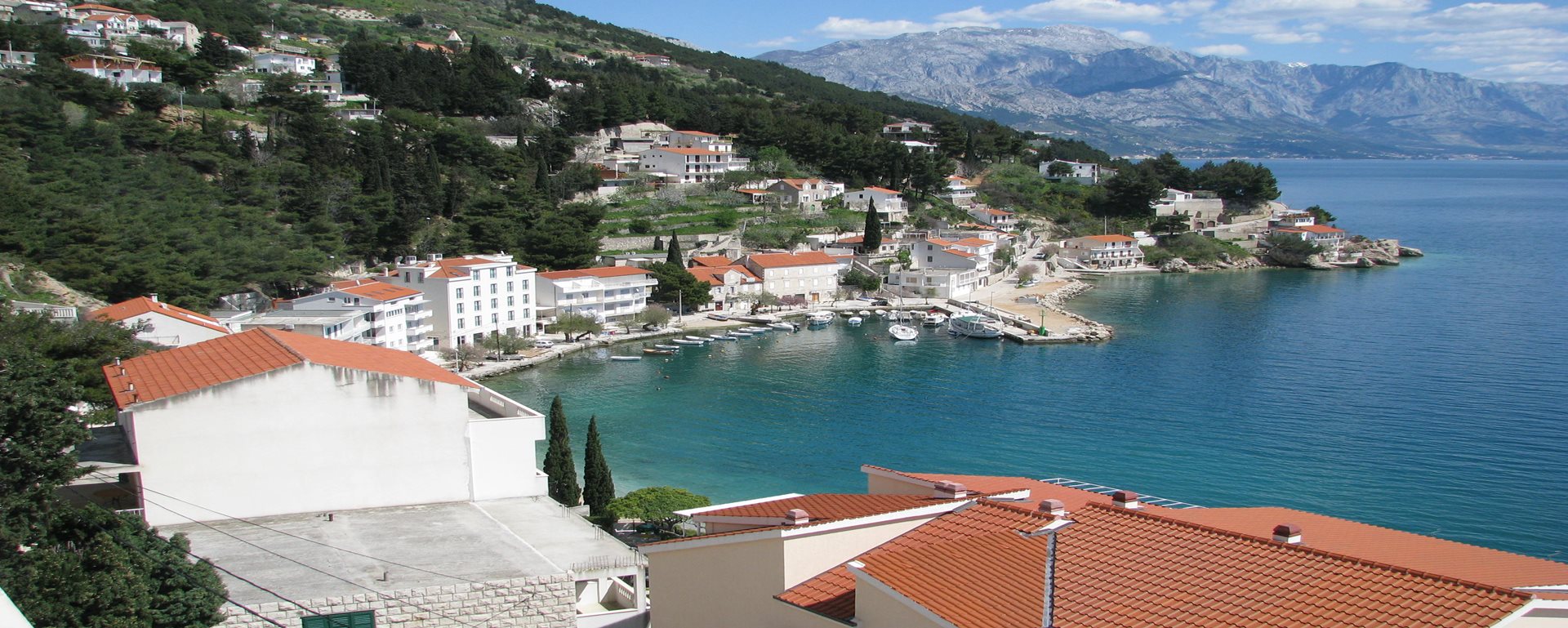 Mimice pohled z hotelu Croatia Sydney